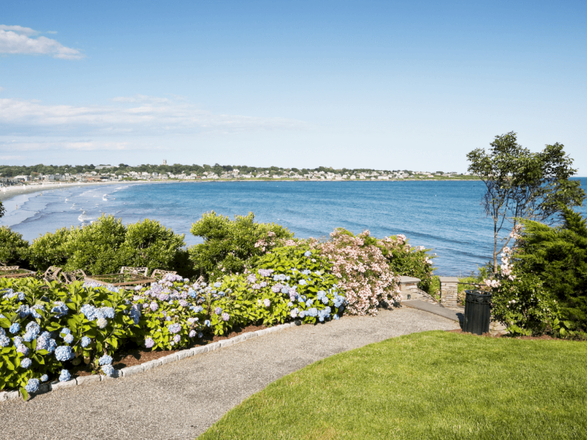 A coastal landscape with a curved path, lush greenery, colorful flowers, and a view of the ocean meeting the distant shoreline under a clear sky.