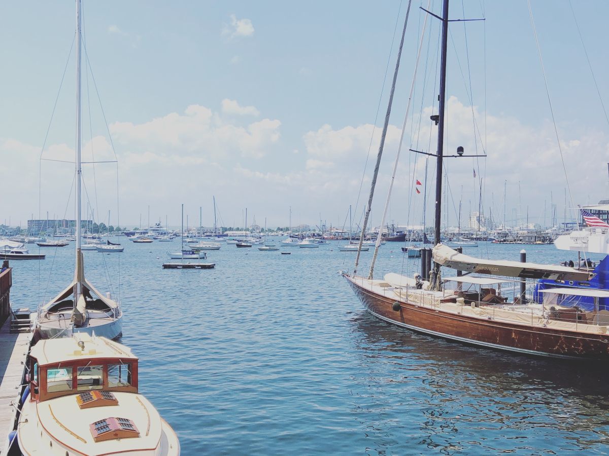 A serene harbor scene with several sailboats and yachts on calm water under a clear sky.