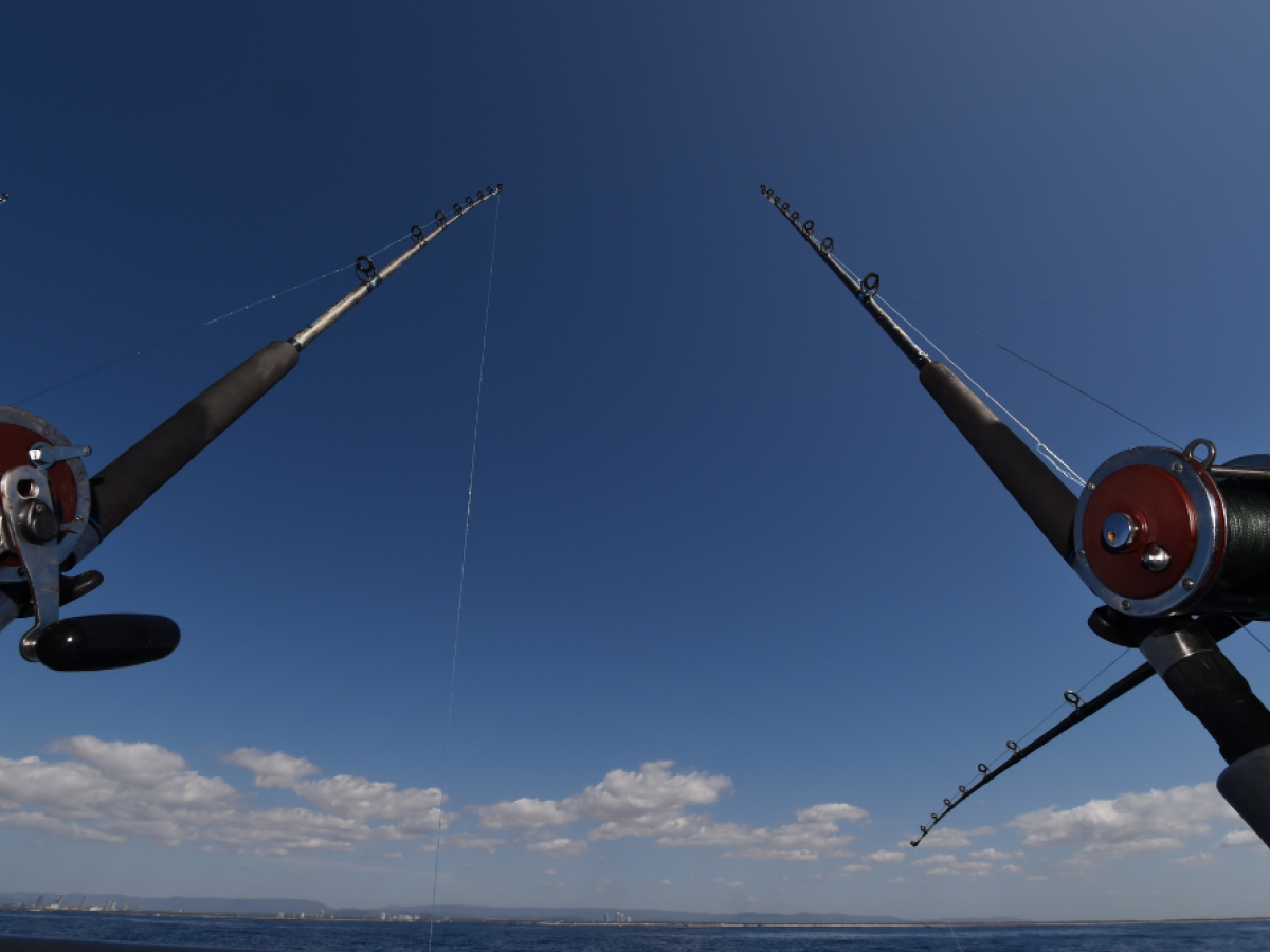 Two fishing rods are angled towards the sky on a boat, with a clear blue sky and clouds in the background, over a calm sea.