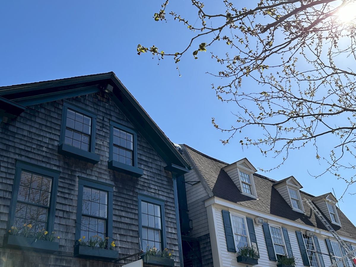 Two houses with shingle siding and gabled roofs under a clear blue sky, with a tree branch and the sun in the top right corner.